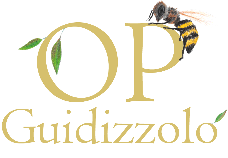 OP-Guidizzolo